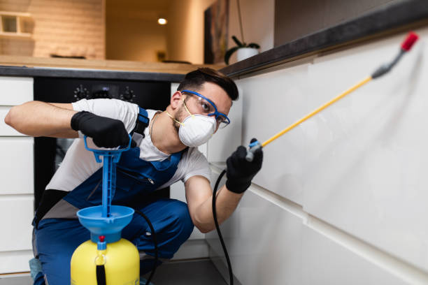 Best Termite Control Services  in Yardley, PA