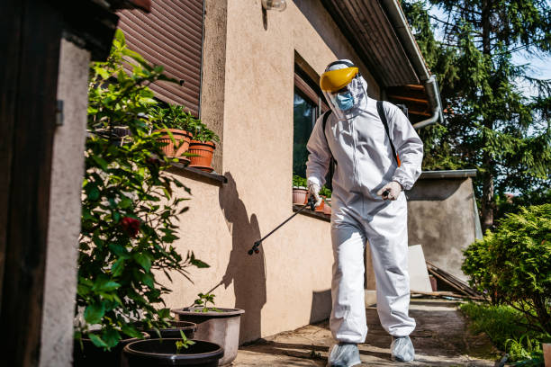 Best Affordable Pest Control Services  in Yardley, PA