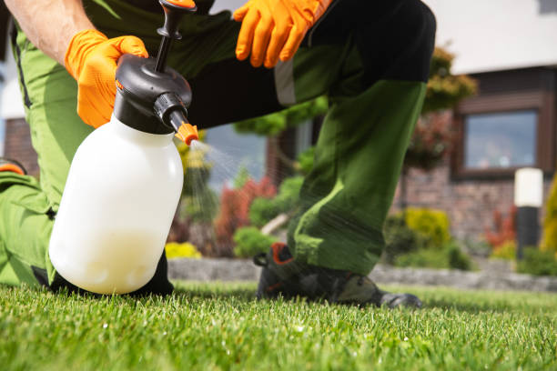 Best Best Pest Control Companies  in Yardley, PA